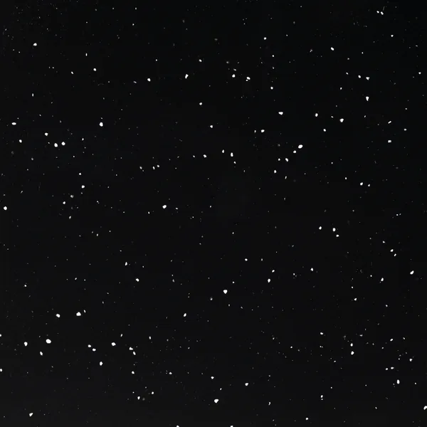 Night Nature