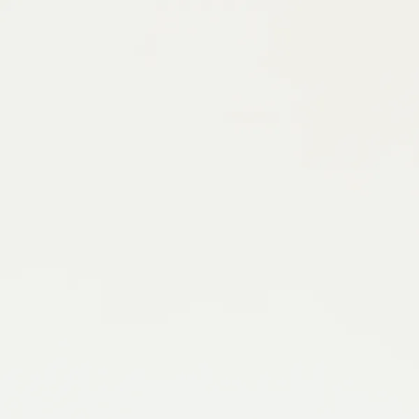 Frost White